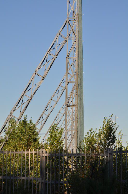 DSC_0312.jpg