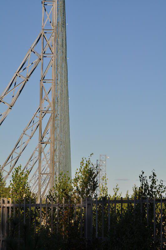 DSC_0313.jpg