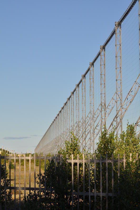 DSC_0315.jpg
