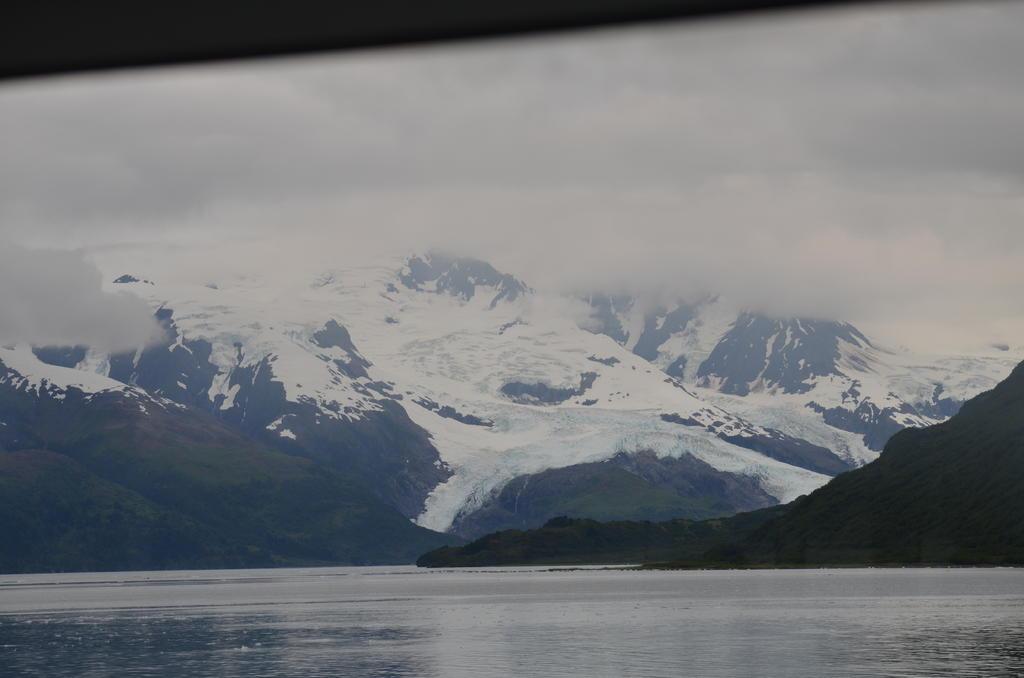 DSC_0518.jpg