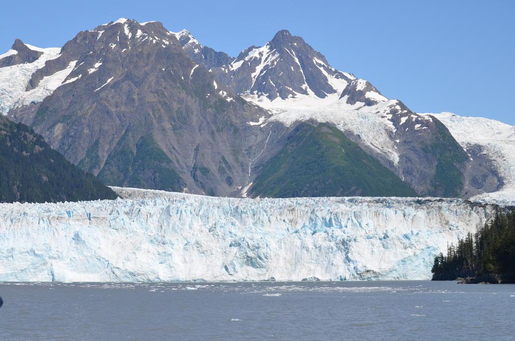 DSC_0710.jpg
