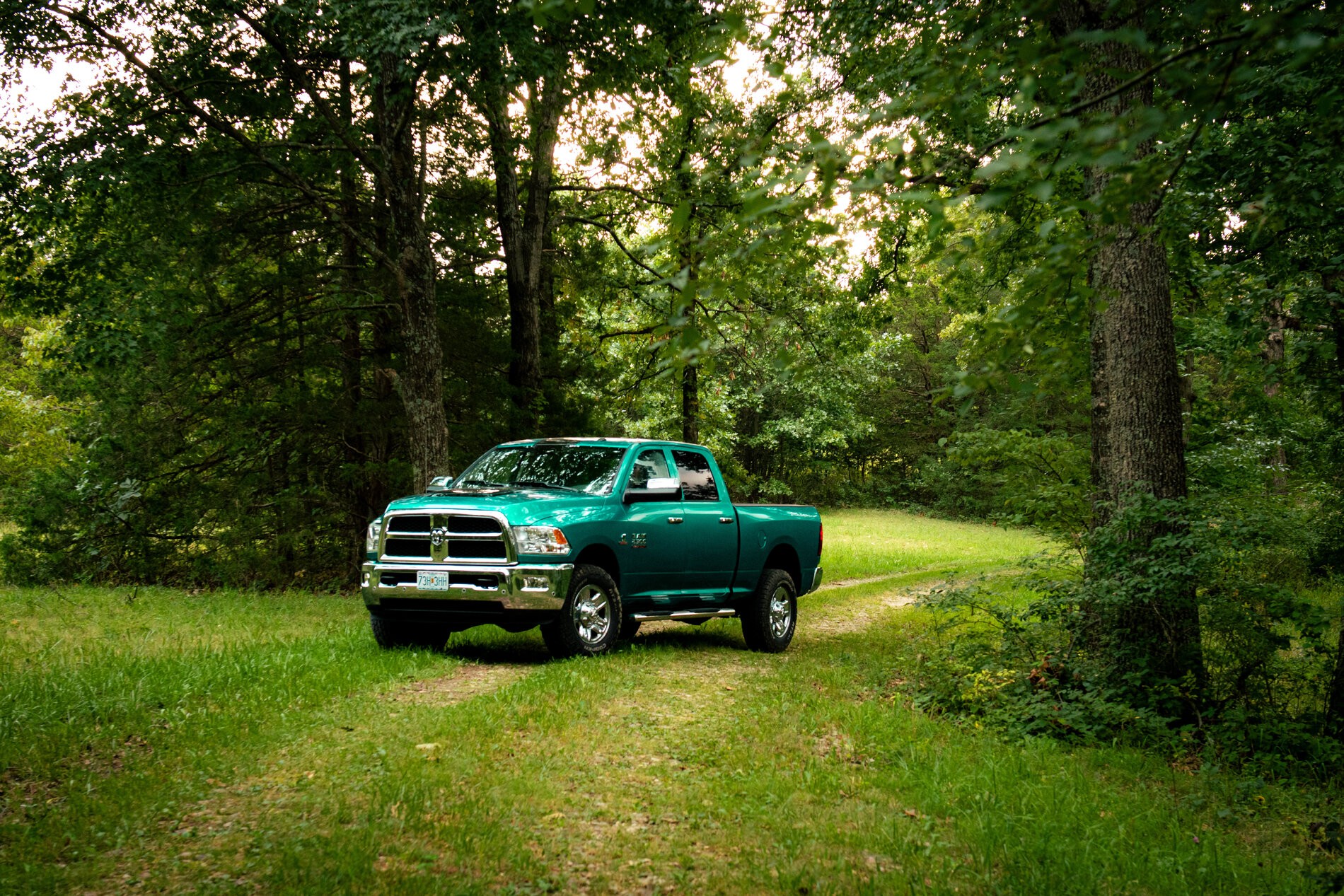 DSC_5773 (1).jpg