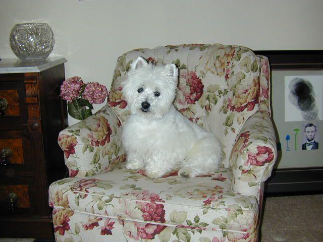 DSCN0016.JPG