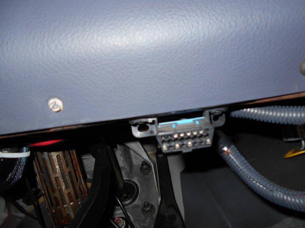 DSCN0810.jpg