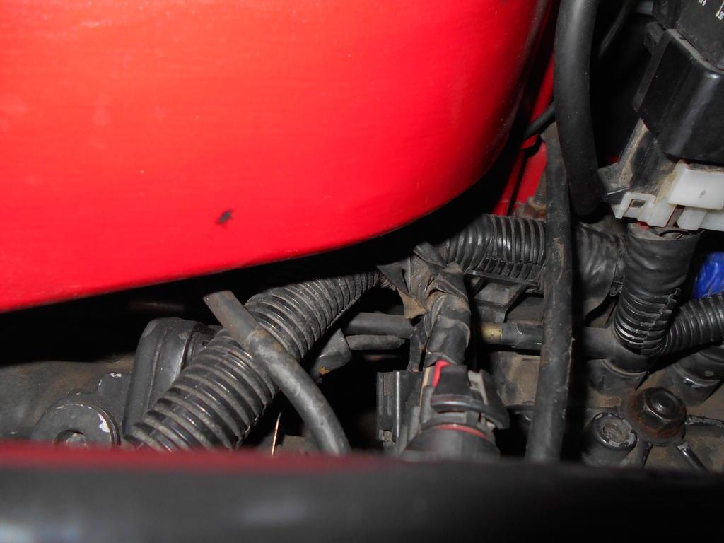 DSCN1207.jpg