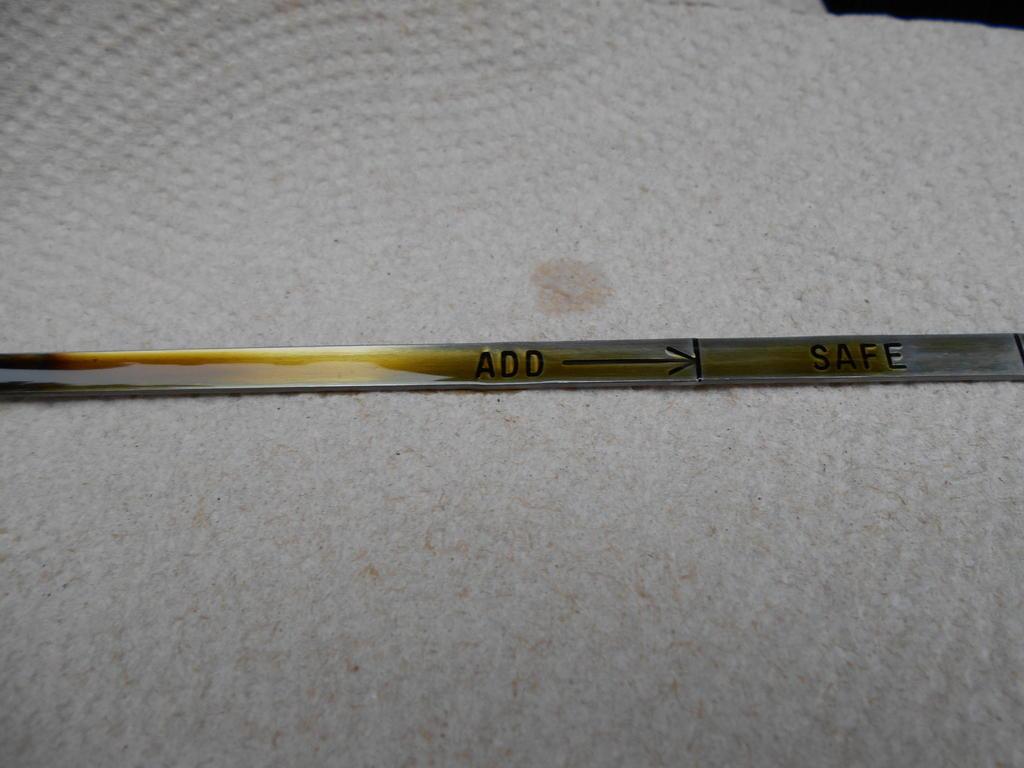DSCN1351.jpg