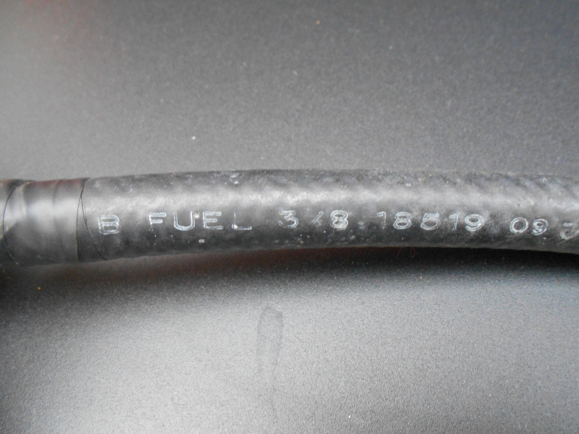 DSCN2230.JPG