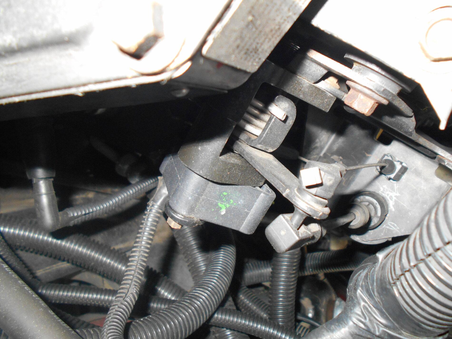 DSCN2556.JPG