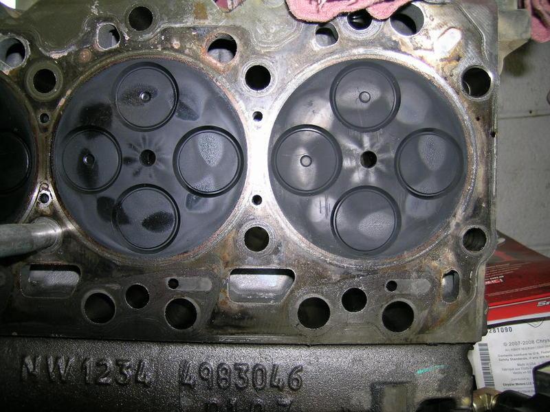 DSCN7557.jpg