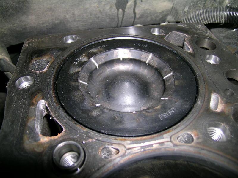 DSCN7558.jpg