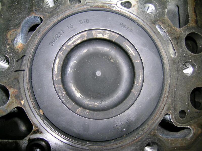 DSCN7560.jpg