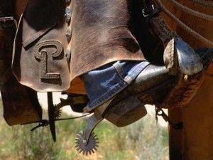 dw-cowboyspurs_m-300x225.jpg