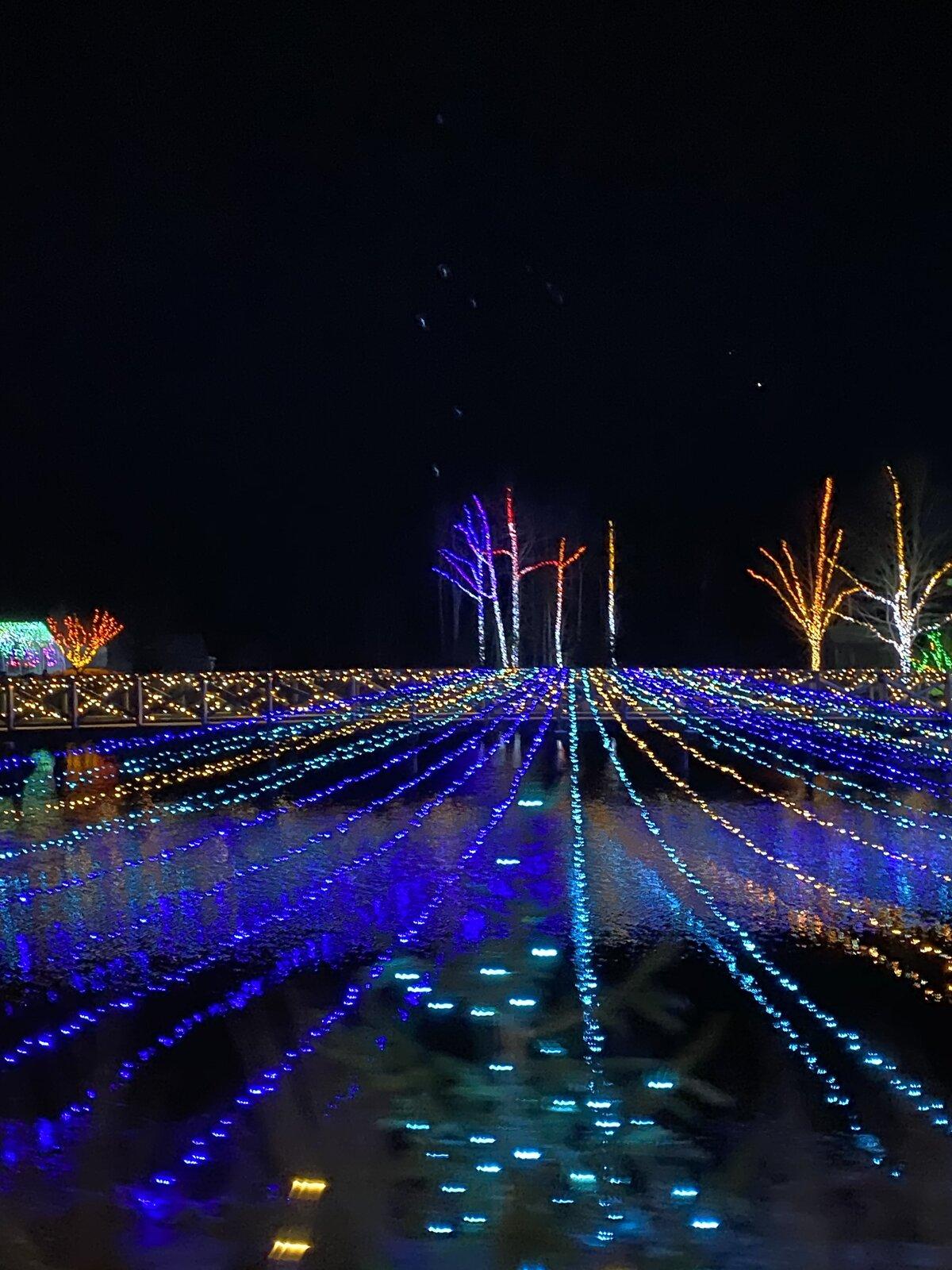 E176730B-C40C-4465-B917-4BF3BD8980CB.jpeg