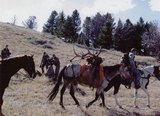 elkcountryjournal.jpg