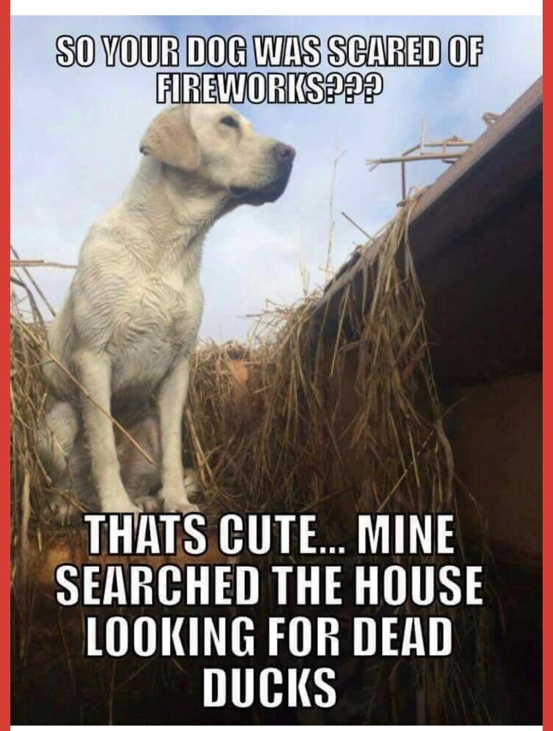 F0354B0F-52B2-467D-AB3D-3735DBEE20F7.jpeg