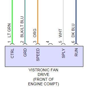 Fan 3.jpg