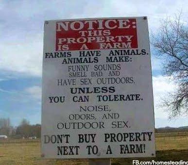 Farm living.jpg