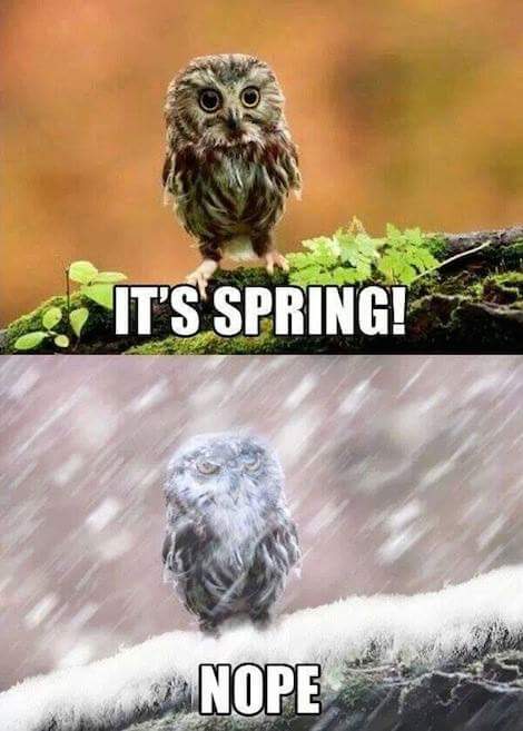 FB_IMG_1426436778299.jpg