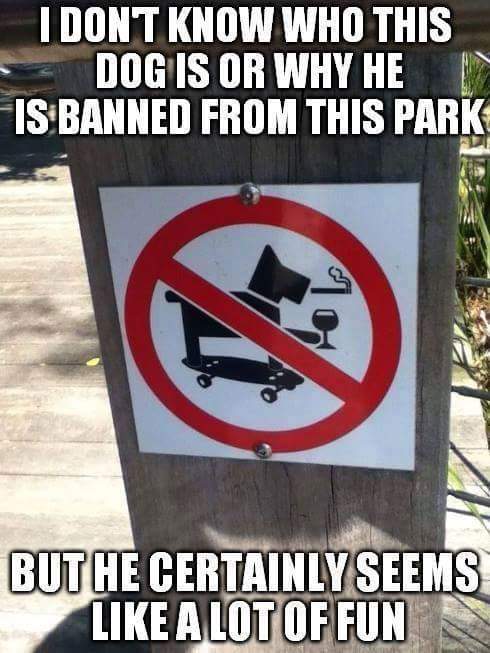 FB_IMG_1455555840449.jpg
