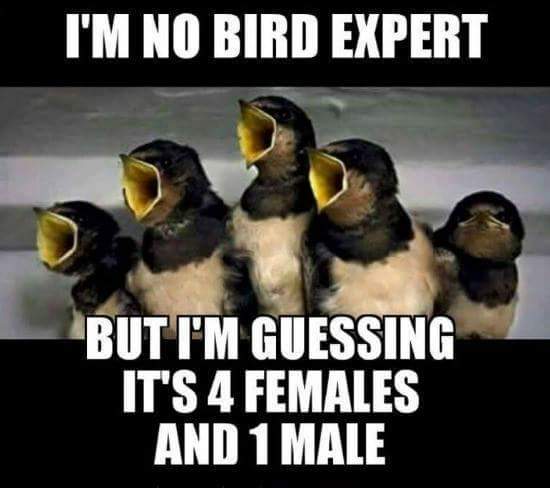 FB_IMG_1455555911104.jpg
