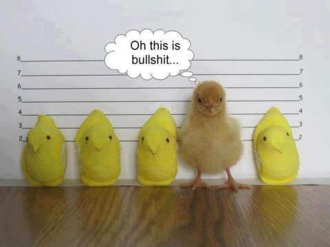 FB_IMG_1458996765890.jpg