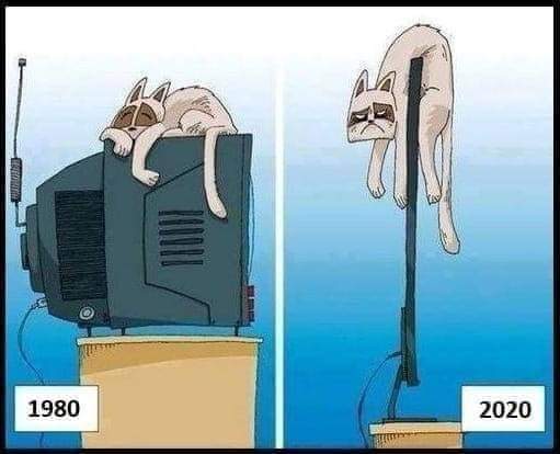 FB_IMG_1673737263577.jpg
