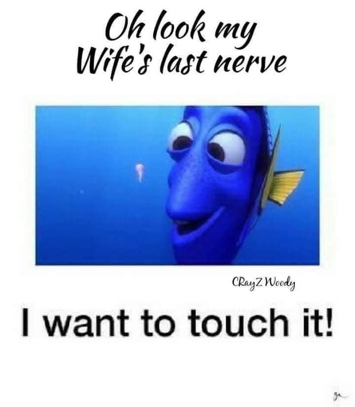FD552905-3AF6-4B2E-BA11-E7E185CE0D98.jpeg