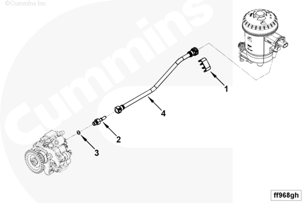 ff968gh.png