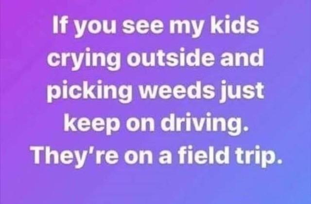 Field Trip.jpeg