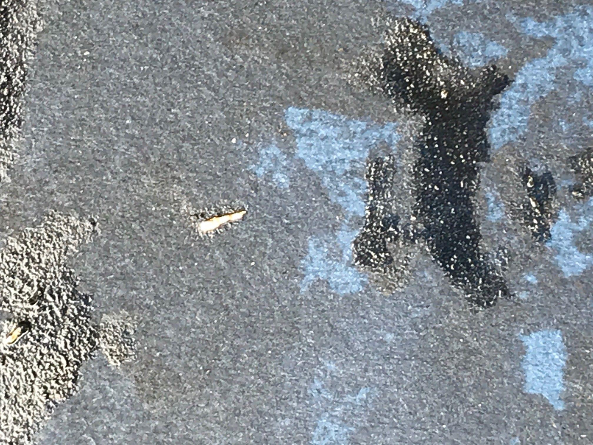 flakes3.jpg