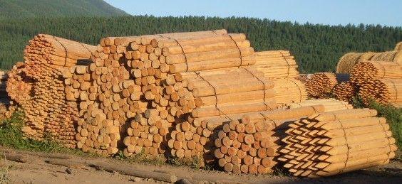 Foothill_Post_and_Lumber_posts.jpg