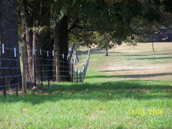 Front Fence 01.jpg