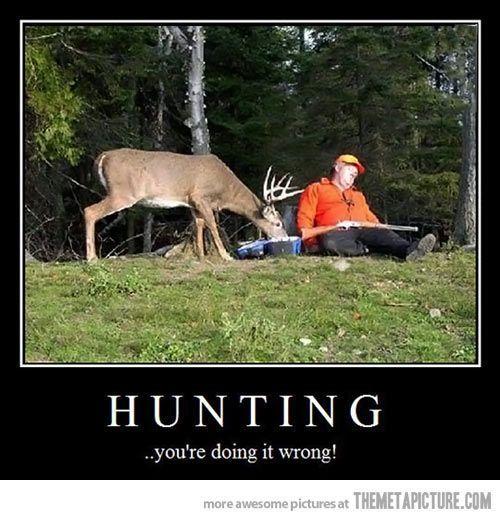 funny-reindeer-eating-hunter-sleeping.jpg