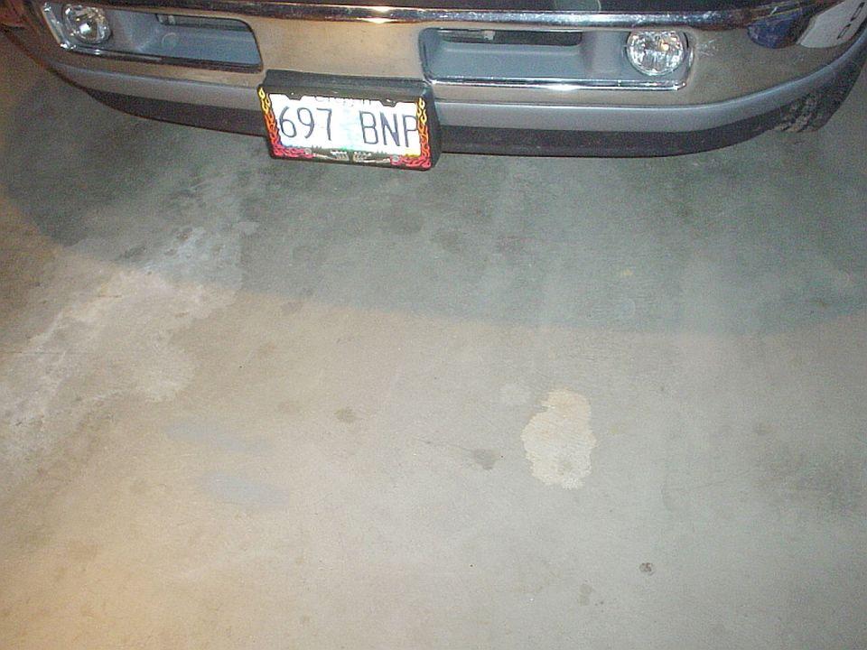 garfloor.jpg