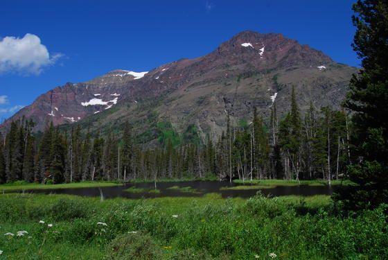 GLACIER NAT MT 250.jpg