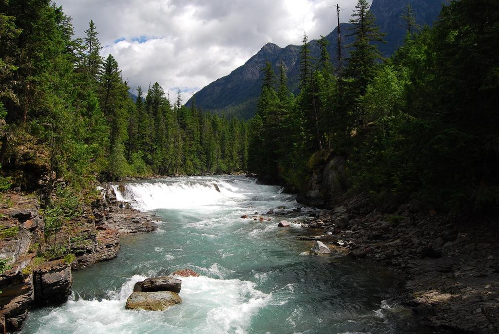 GLACIER NAT MT 323.jpg