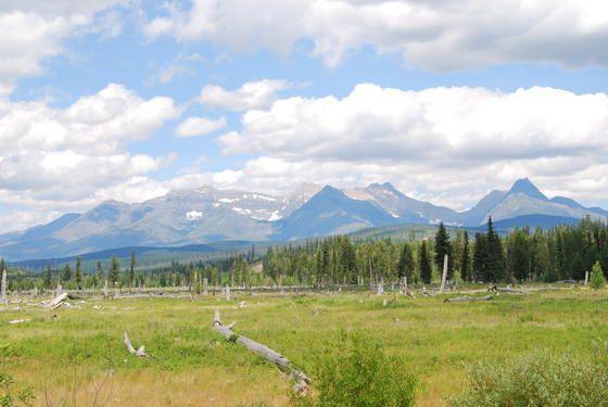 GLACIER NAT MT 335.jpg
