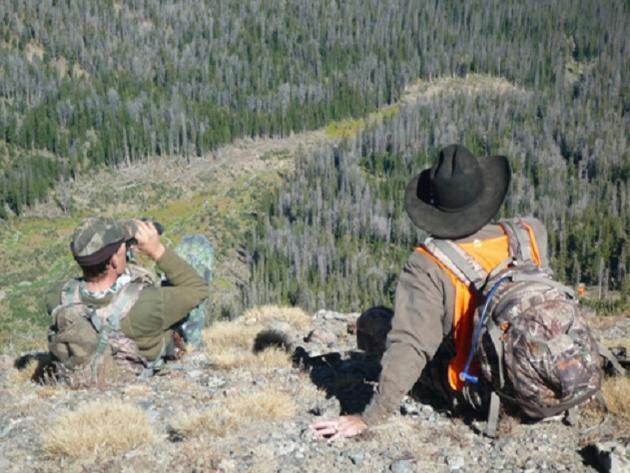 glassing%20for%20elk.jpg