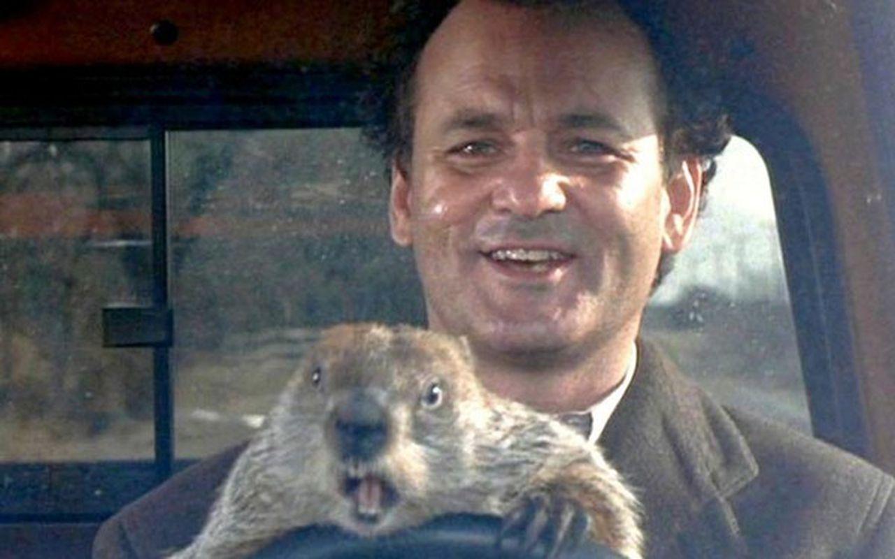 groundhog-day-bill-murrayjpg-26978fbed7794bca.jpg