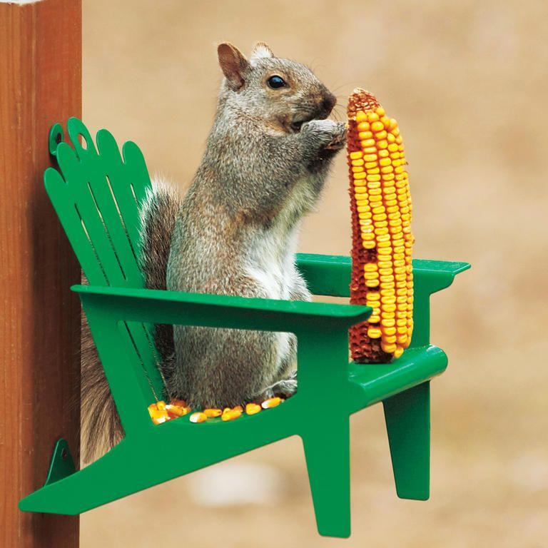 GS-72755-FS53974N_003-WBird-Feeder.jpg