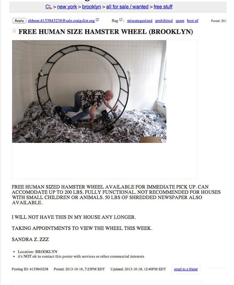 Hamster Wheel.jpg