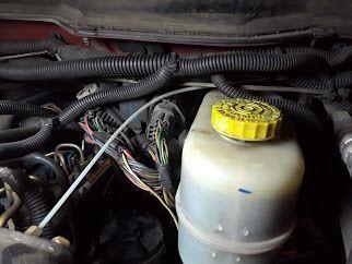 Harness1.jpg