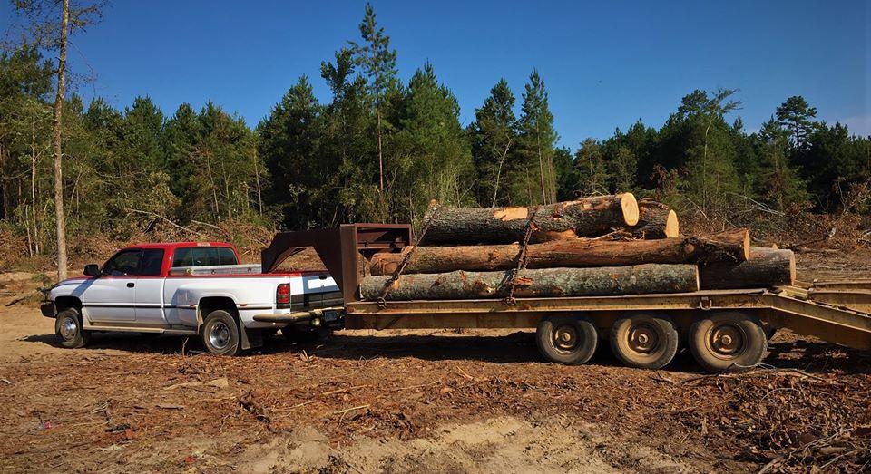 Haul'n wood.jpg