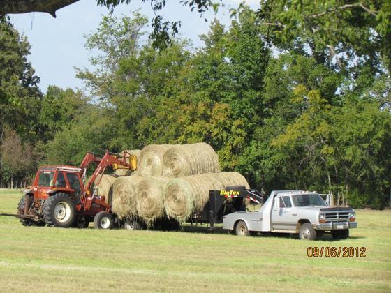 Hay 2012-01.jpg