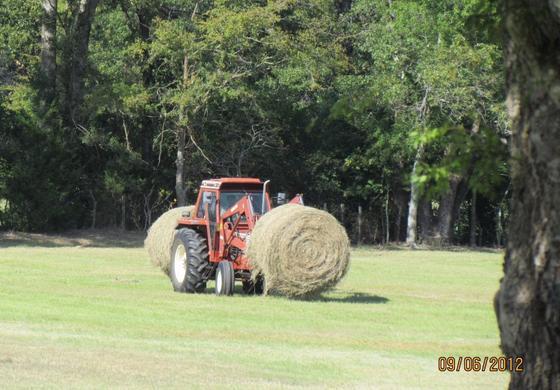 Hay 2012-02.jpg