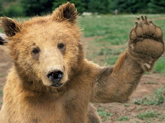 High_Five-1600x1200.jpg