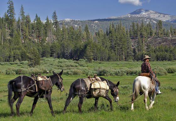 High_Sierra_2.jpg