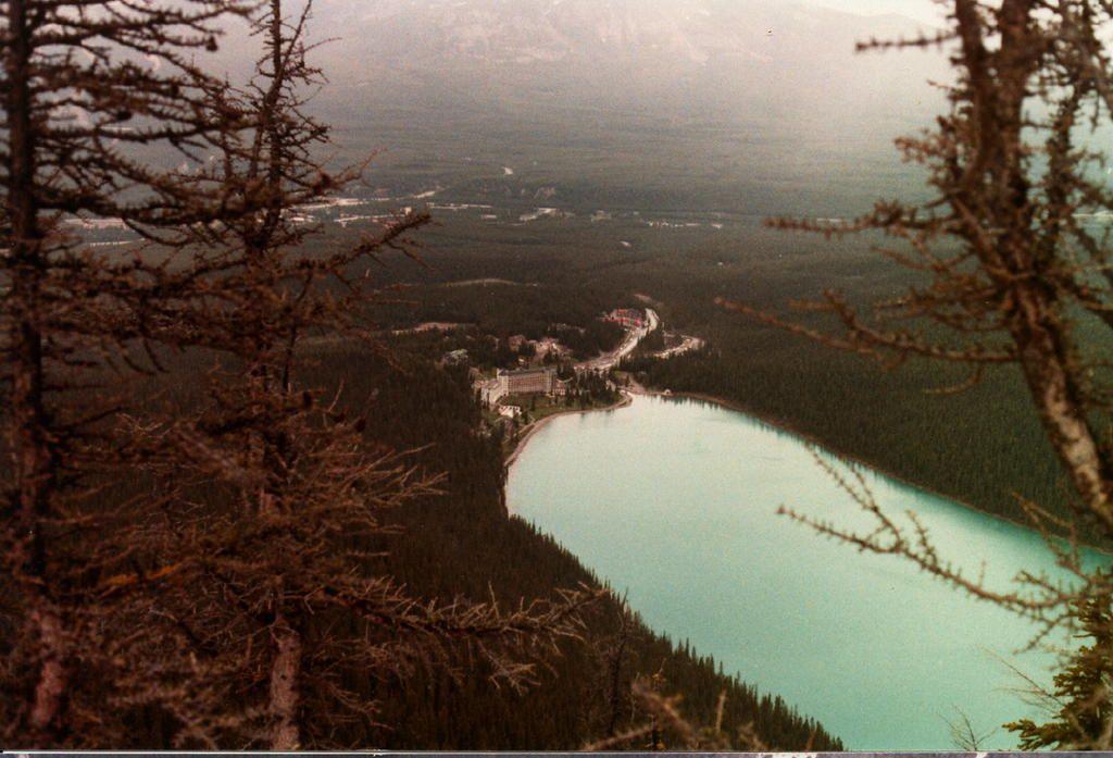 Hike Above Banff Lake Louise.jpg