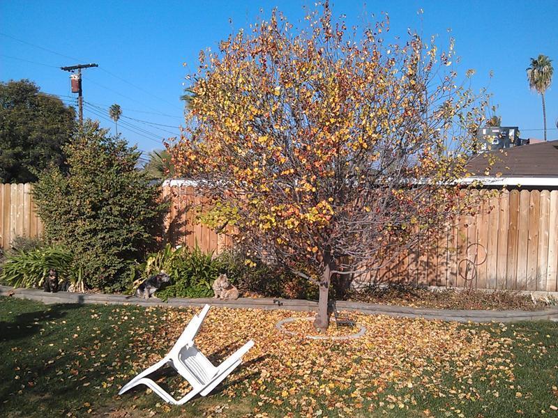 IMAG0296.jpg