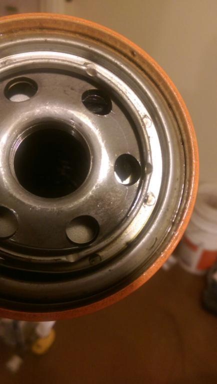 IMAG0334.jpg